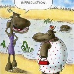 It's called hipposuction